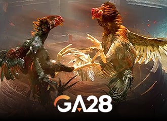 GA28
