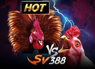 SV388