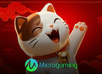 MICRO GAMING